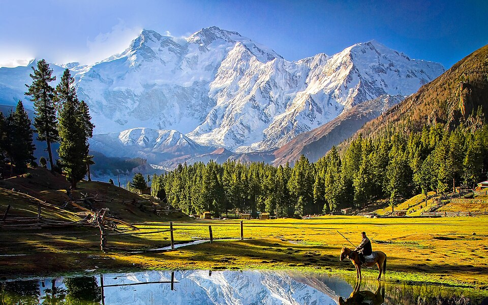 Tours By Nature