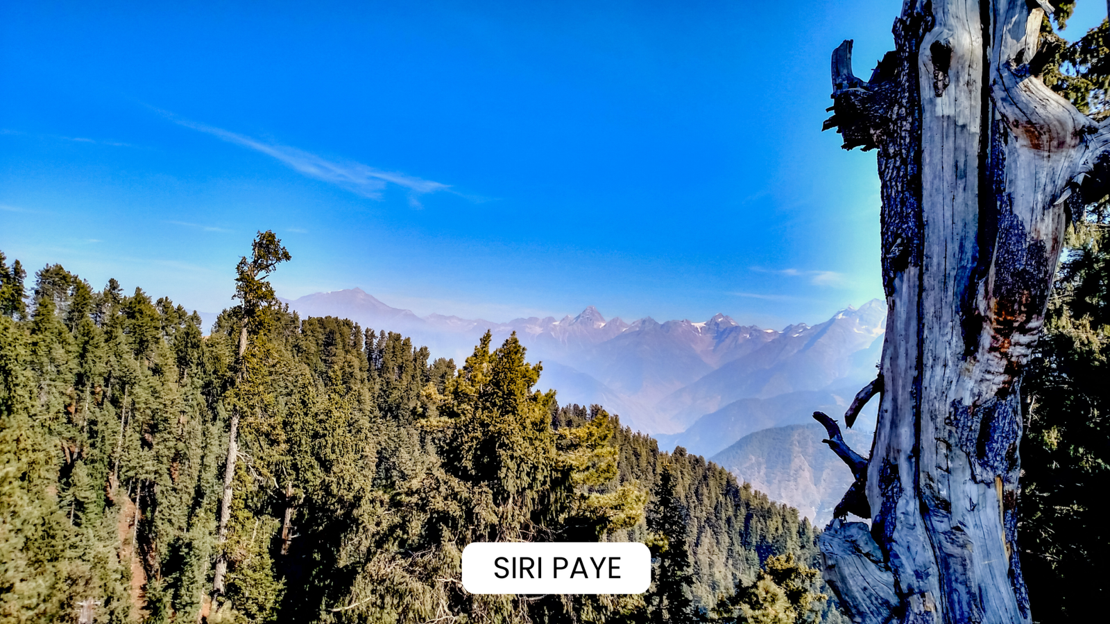 Siri Paye -Tours by Nature- 3 days Naran Kaghan Trip